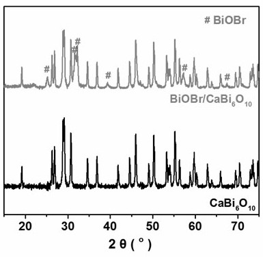 Bismuth oxyhalide/calcium bismuthate composite material based on fto surface, preparation method and application of dyes in photocatalytic degradation of water