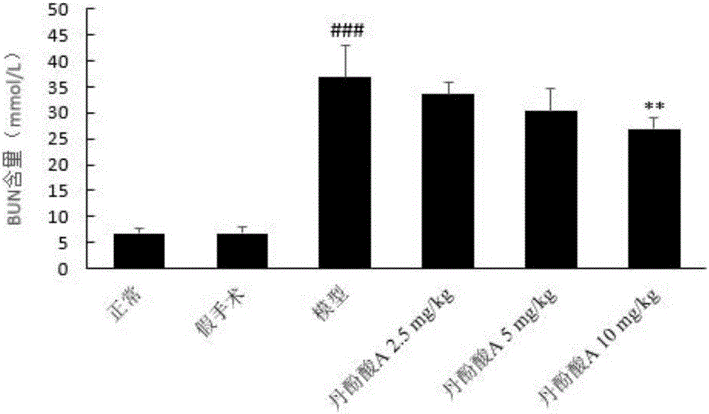 Application of salvianolic acid A in preparation of drugs for treating acute kidney injury