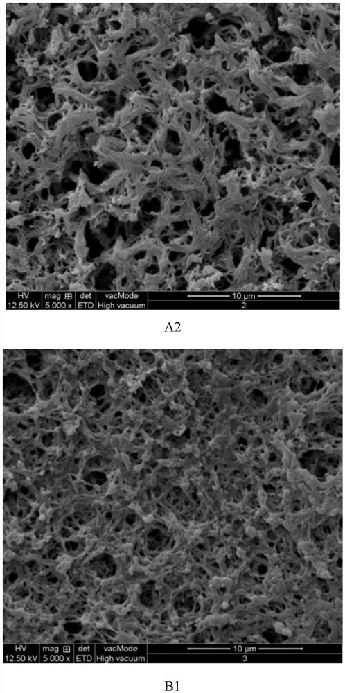 A fixed zirconium silane interface modified polyvinylidene fluoride film and its preparation and application