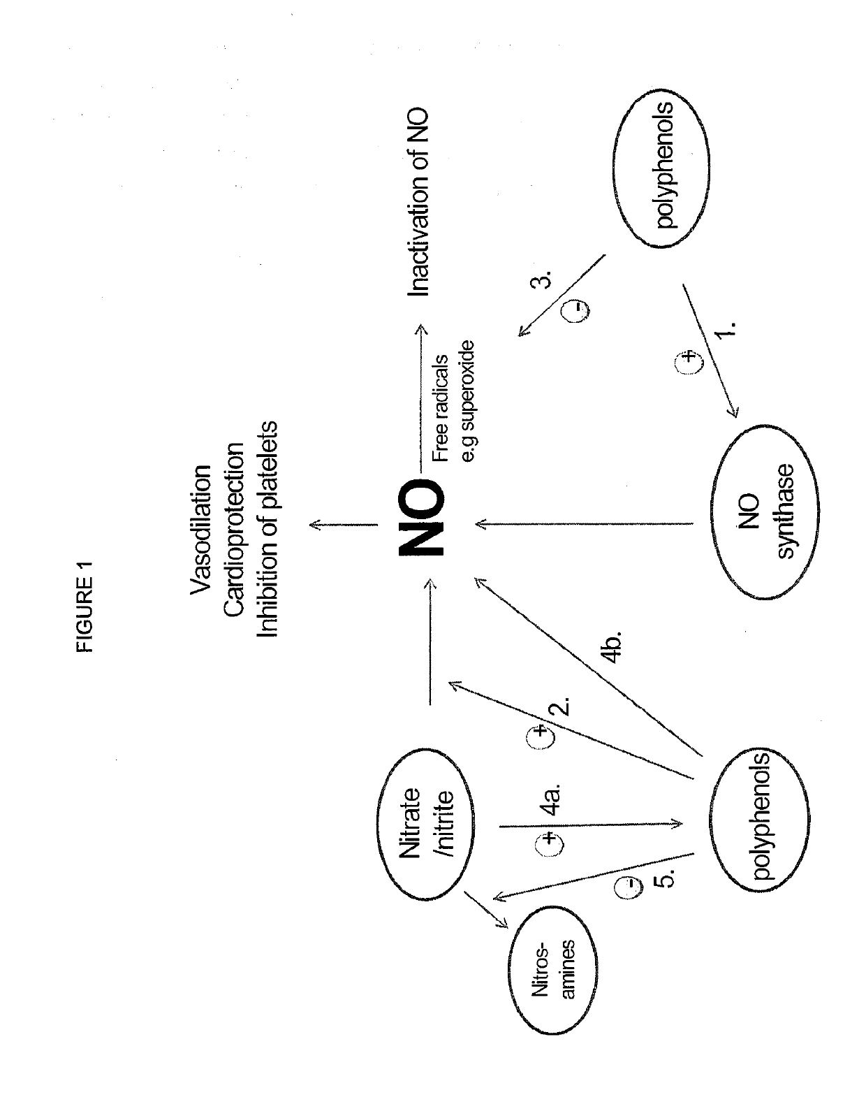 Compositions of nitrates and methods of use thereof