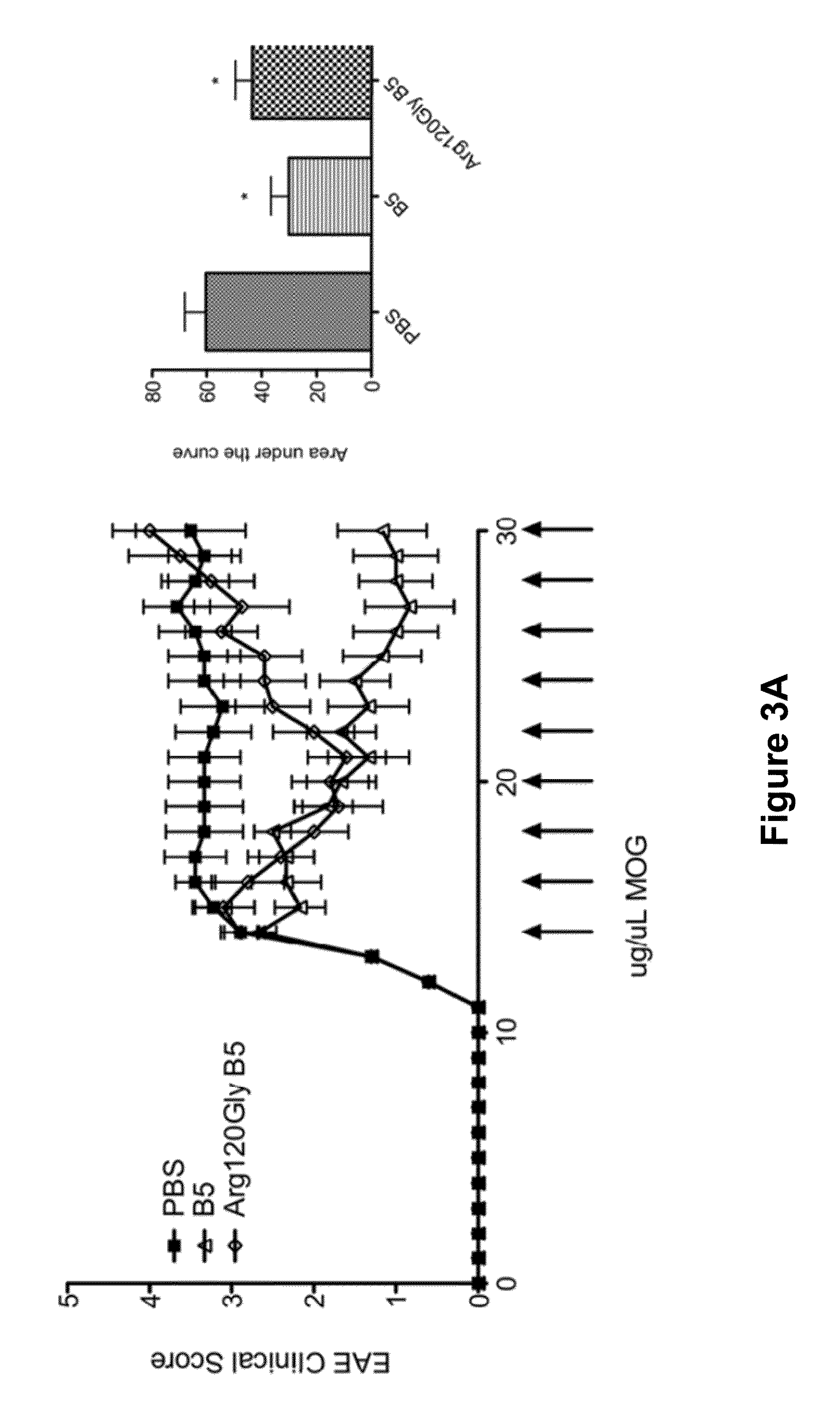 Small Heat Shock Proteins and Active Fragments Thereof as a Therapy for Inflammation and Ischemia