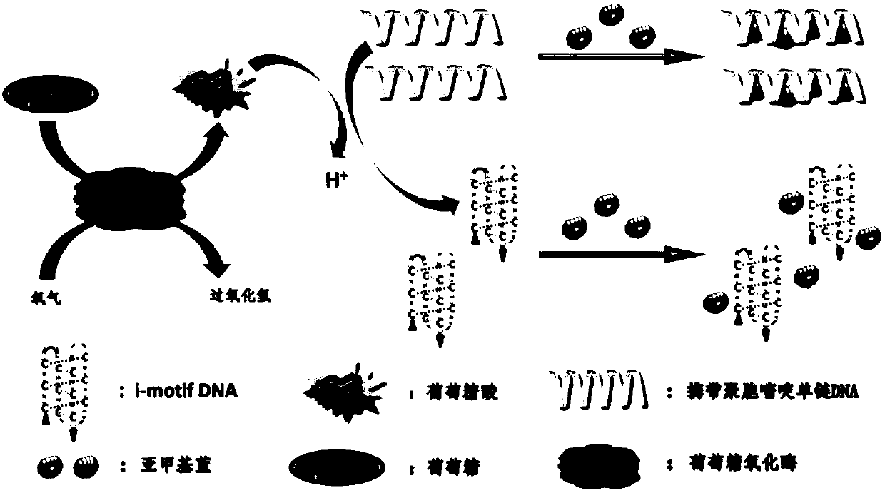 Biological colorimetric sensor, preparation method and application in glucose detection