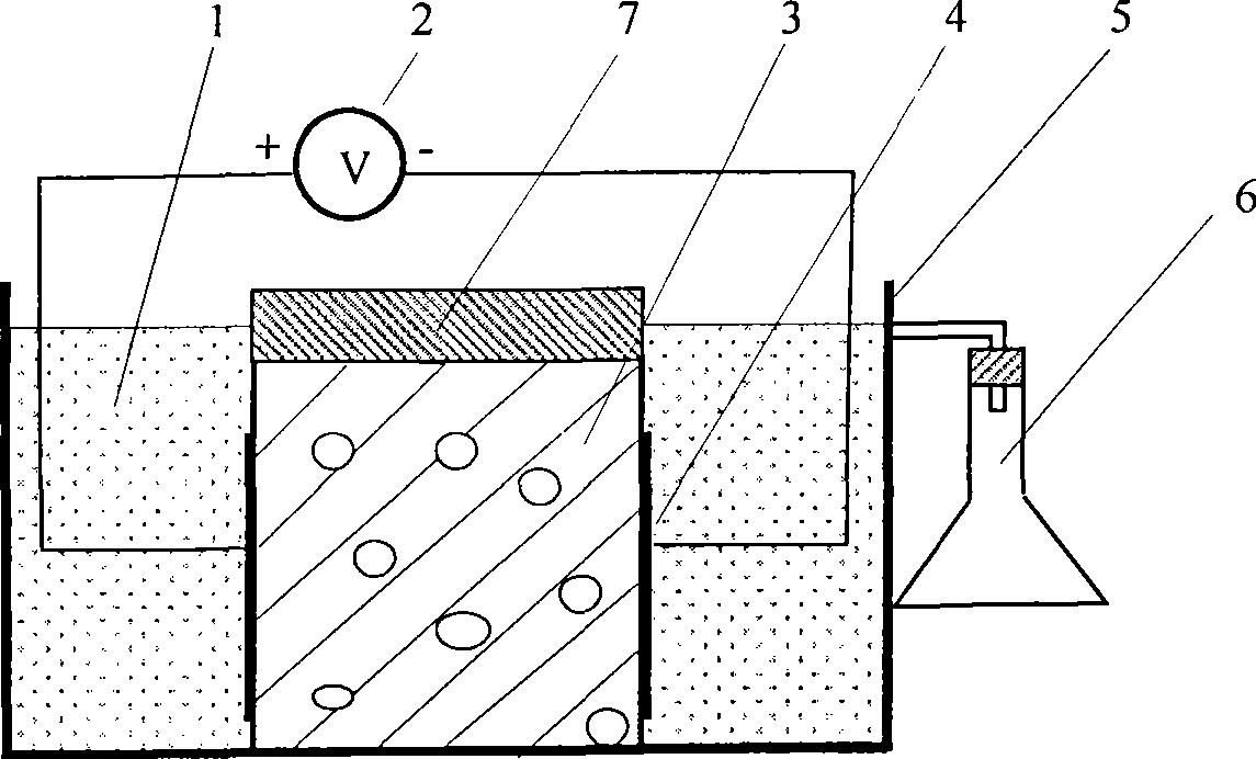 Anti-sulphates corrosive test method and test device of cement concrete