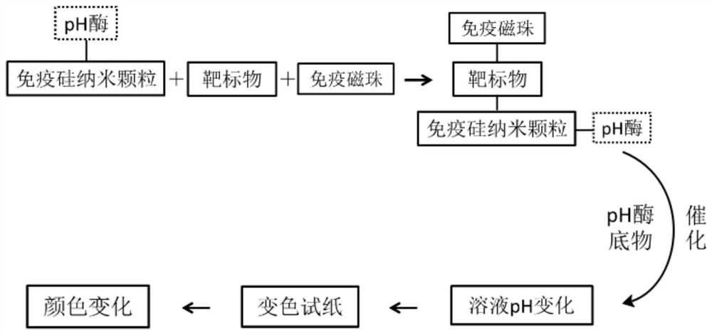 Target object semi-quantitative detection method based on detection test paper and detection test paper