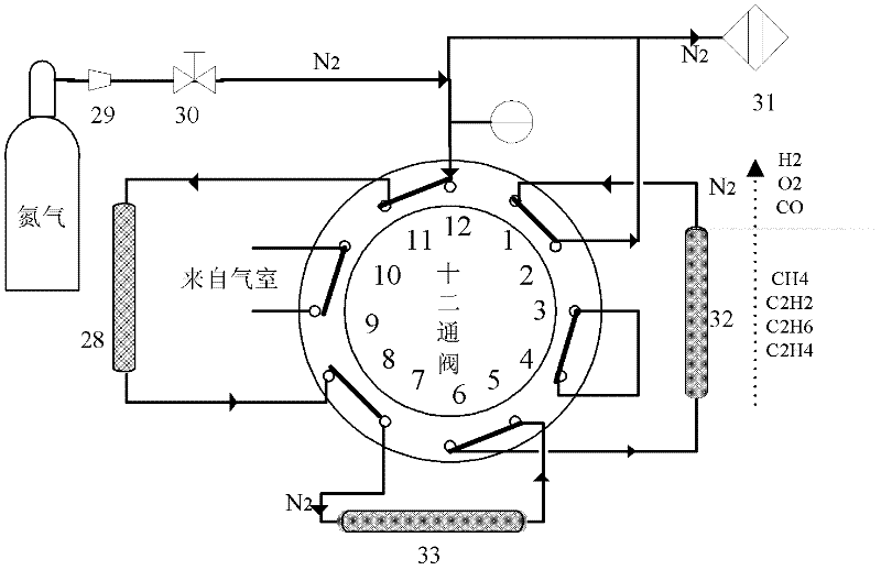 On-line detection system and method of trace dissolved gas in organic oil