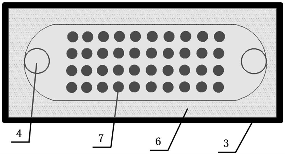 Encapsulated biochip