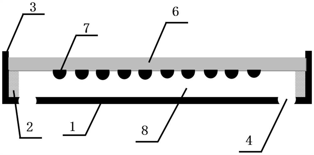 Encapsulated biochip