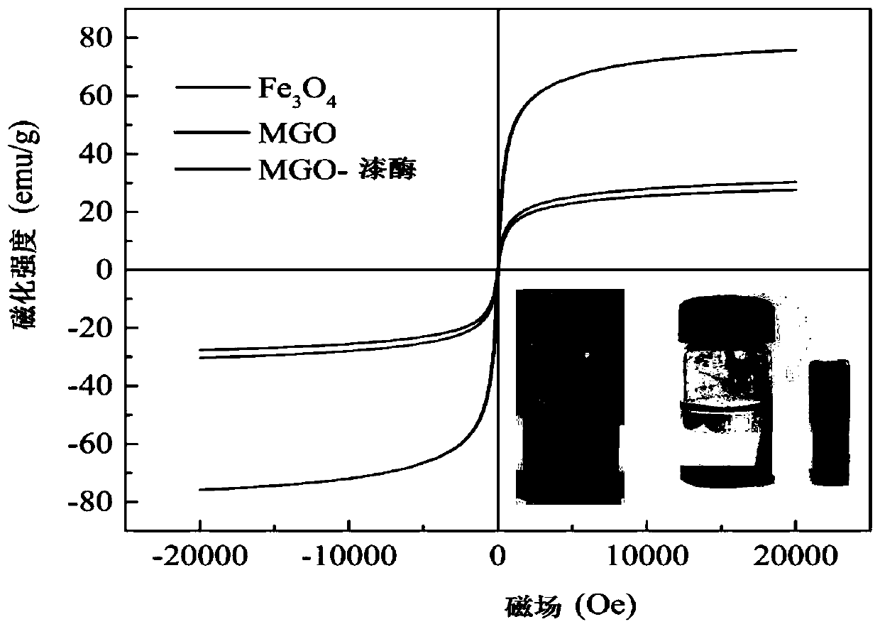 Method for preparing MGO-laccase