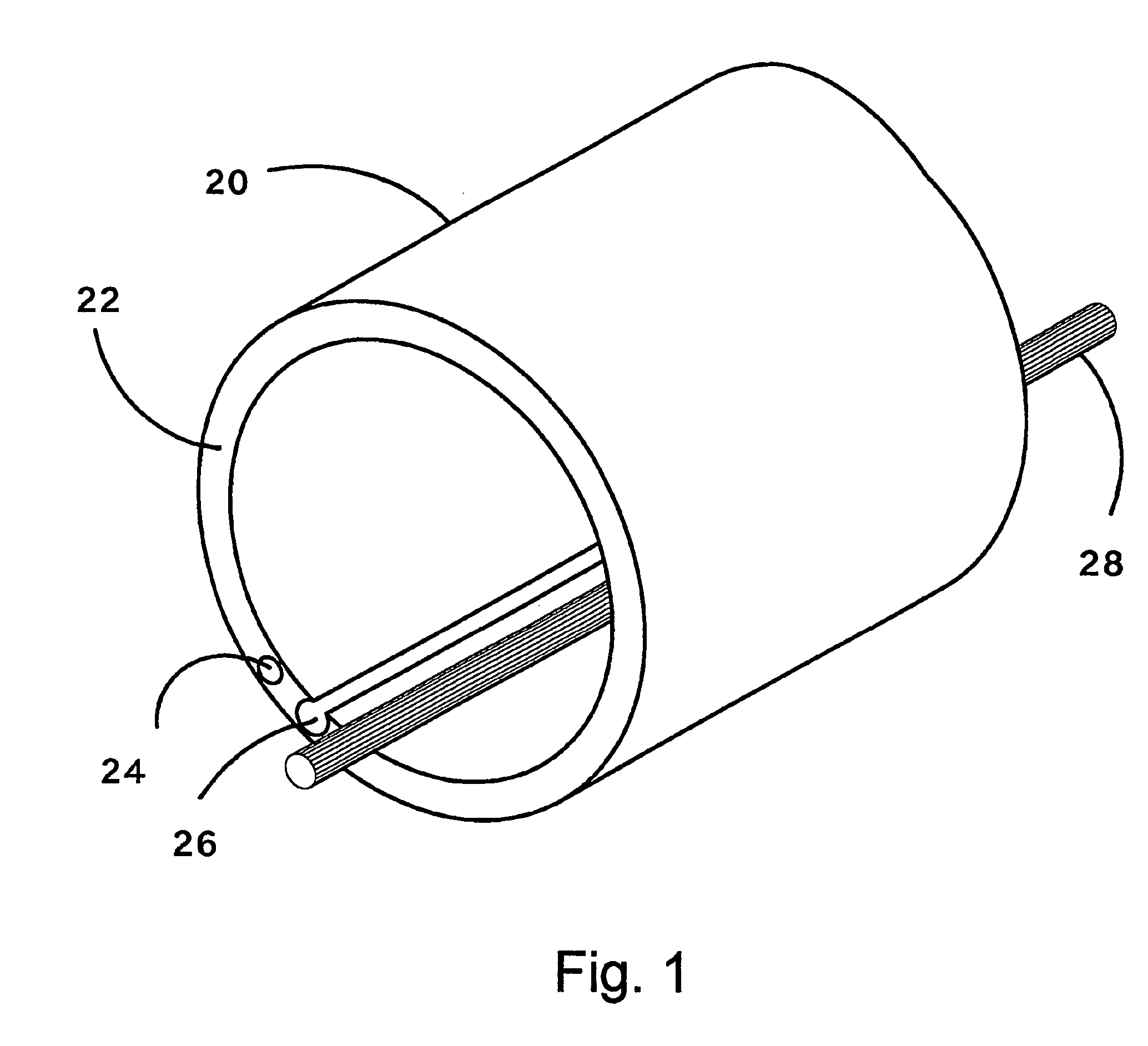 Tube for inspecting internal organs of a body