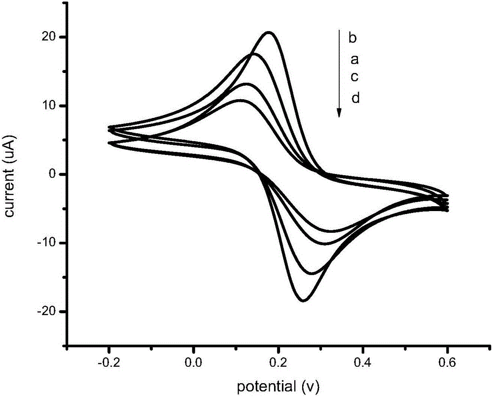 Preparation method and detection method of nano immunosensor used for rapid detection of enterobacter sakazakii