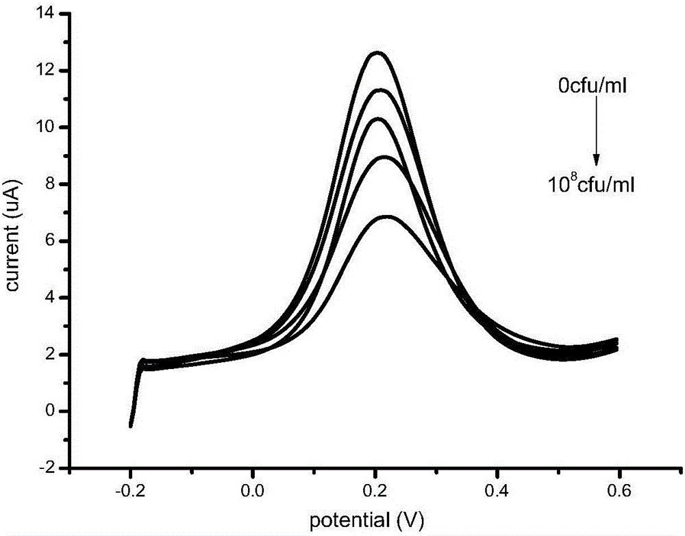 Preparation method and detection method of nano immunosensor used for rapid detection of enterobacter sakazakii