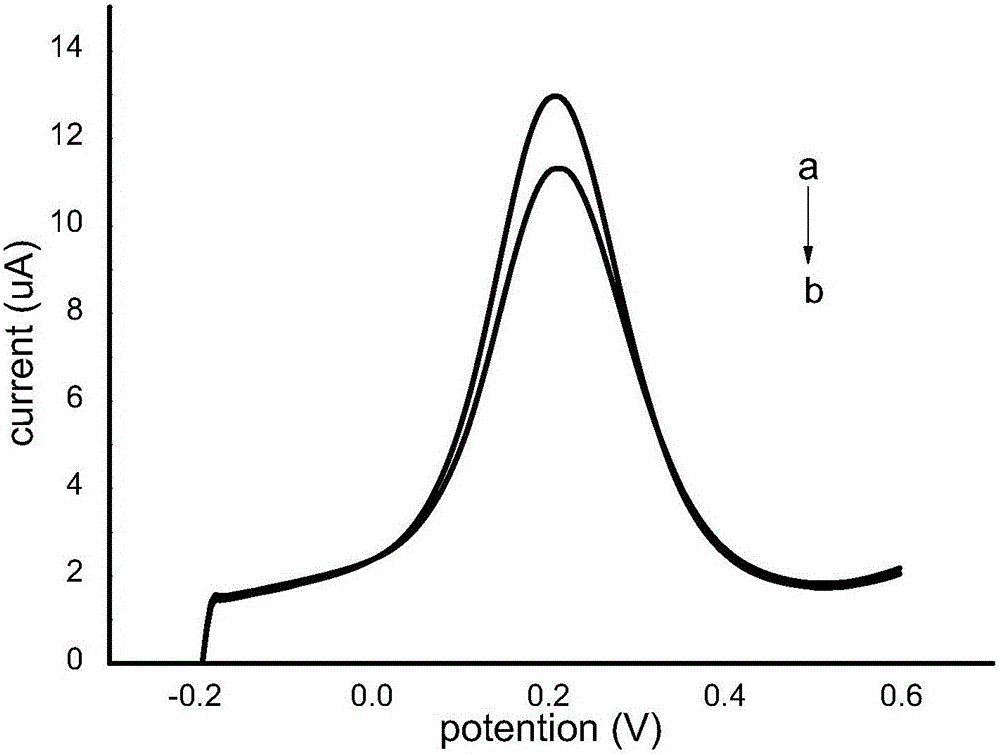 Preparation method and detection method of nano immunosensor used for rapid detection of enterobacter sakazakii