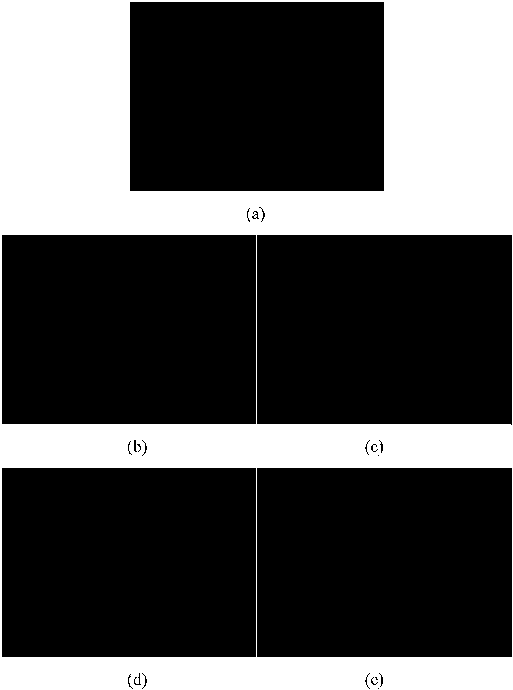 Femtosecond differential optical Kerr gate and imaging device and method based on optical Kerr gate