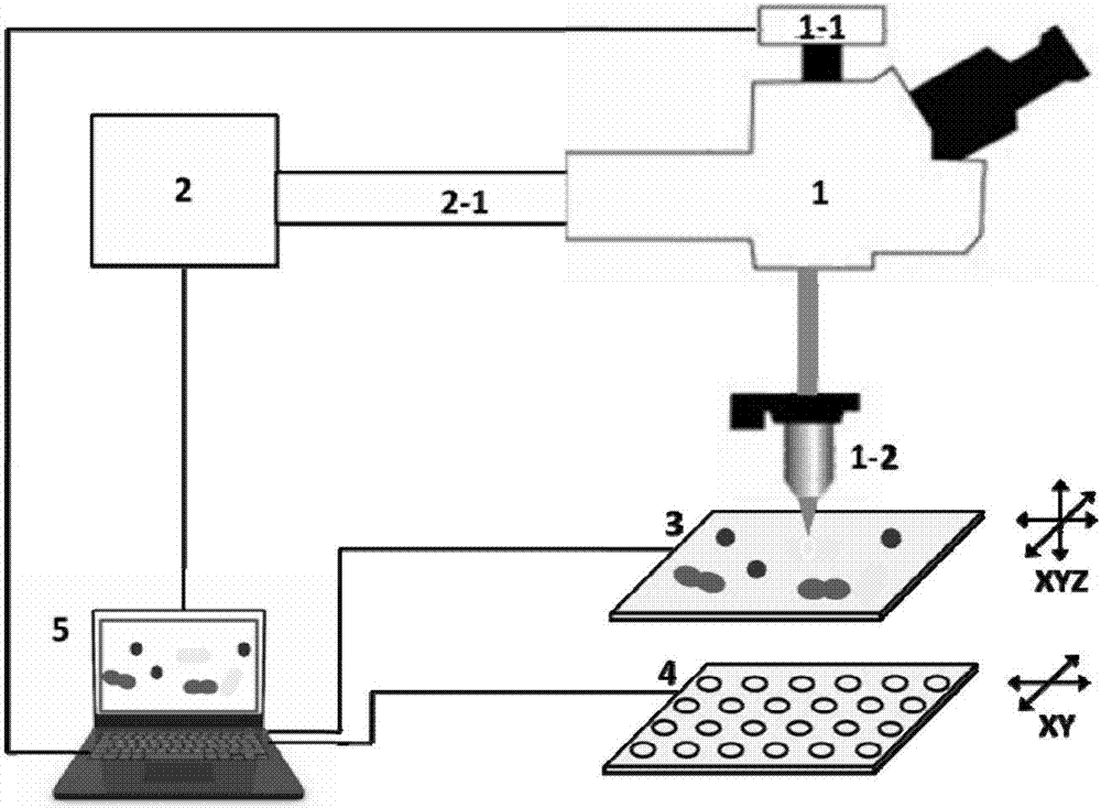 High-throughput automatic sorting and receiving system for microorganism single cells