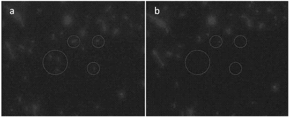 High-throughput automatic sorting and receiving system for microorganism single cells