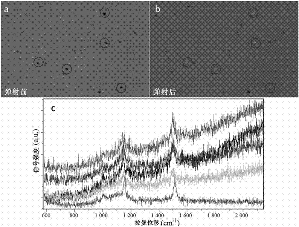 High-throughput automatic sorting and receiving system for microorganism single cells