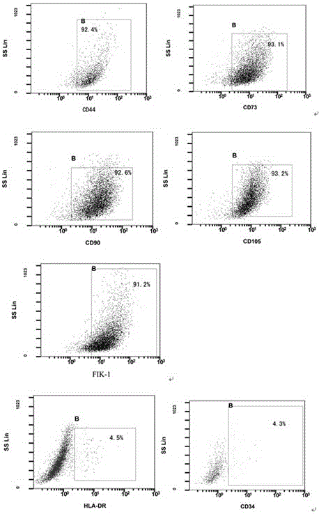 Human adipose sub-totipotent stem cell isolated-culture method and stem cell bank establishing method