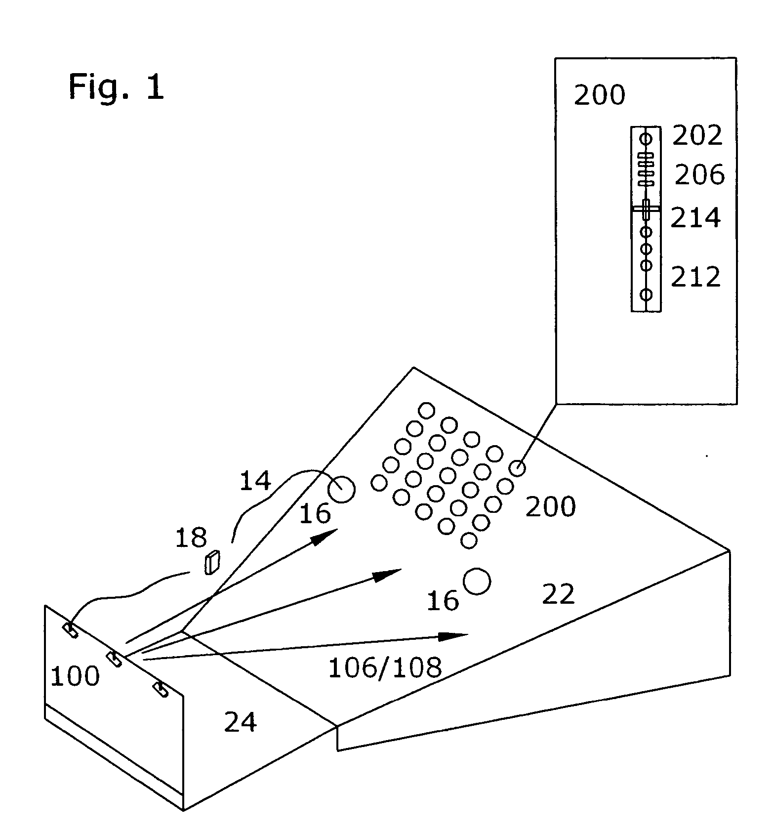 Performance display system