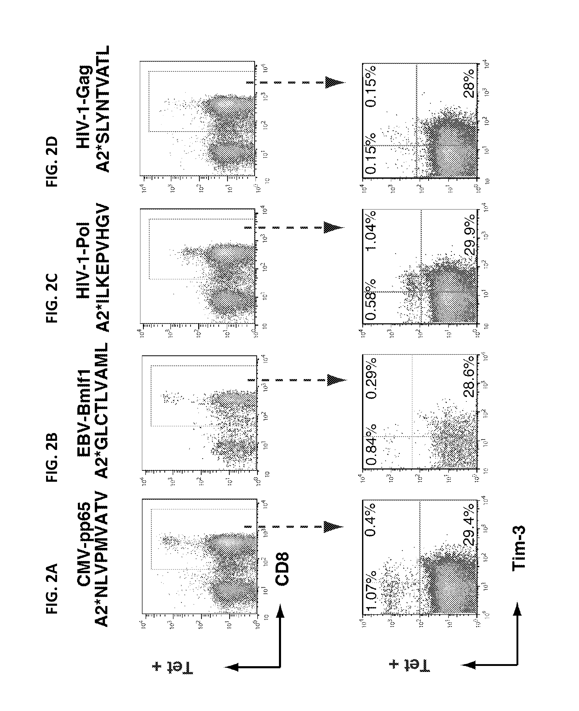 Therapeutic and Diagnostic Methods Using TIM-3