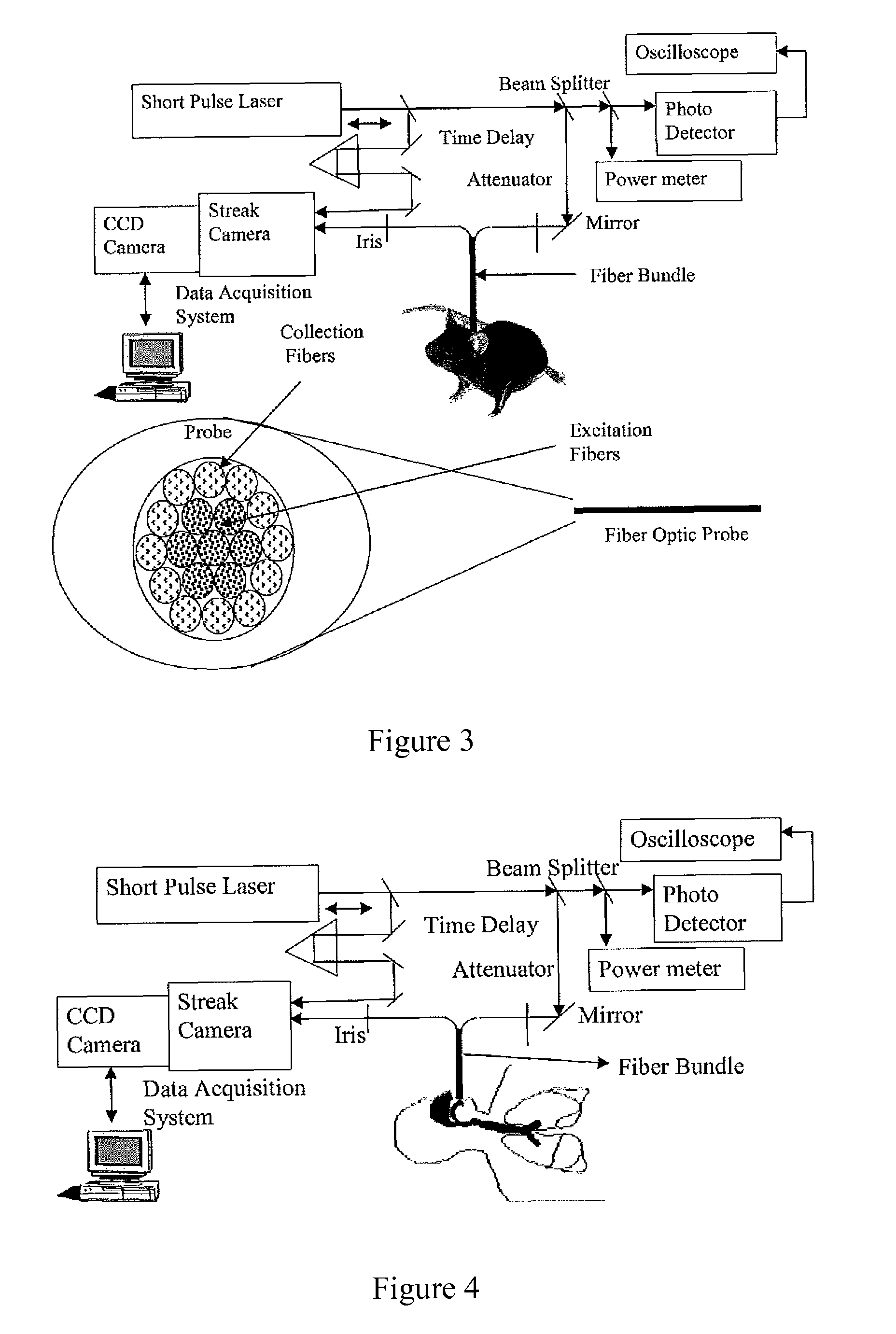 Optical tomography system using short-pulse laser for early cancer diagnostics