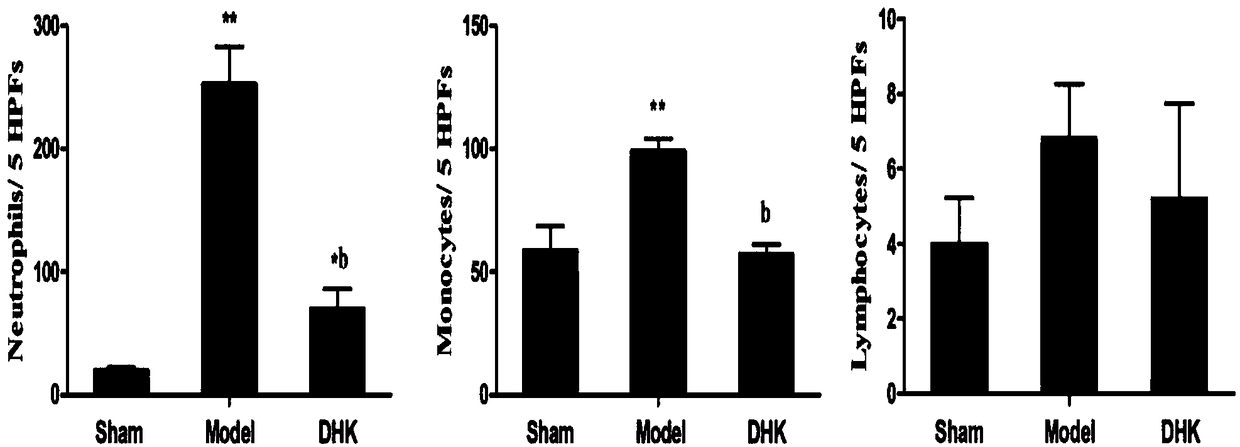 Novel application of Danhong blood stasis dispersing composition