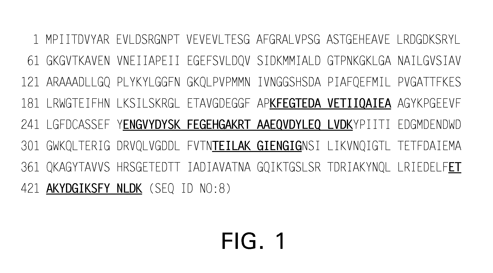 Enolase peptide conjugate vaccines against <i>Staphylococcus aureus</i>