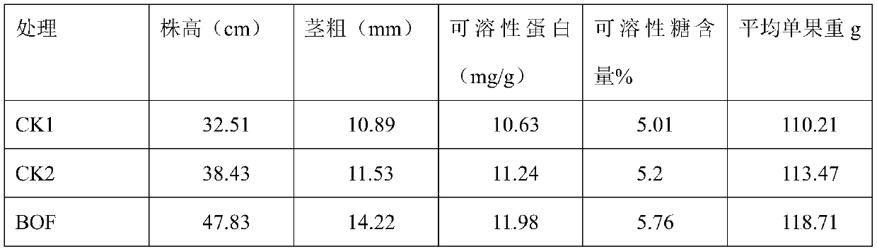 Functional comprehensive-element biological fertilizer, and preparation method thereof