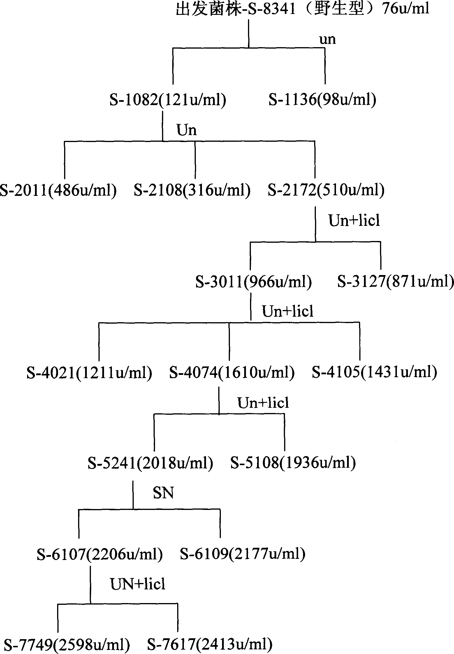 Aspergillus niger lipase and its preparation method