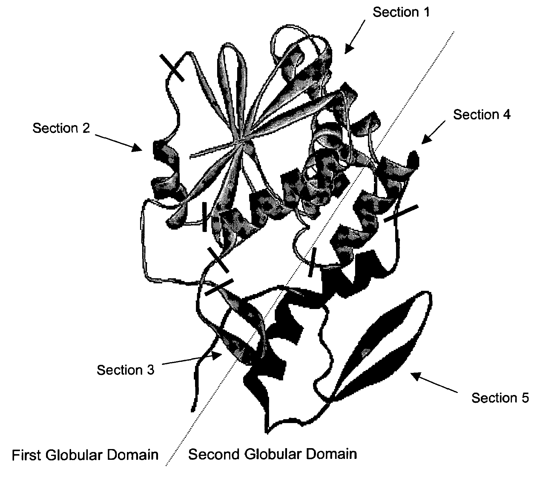 Ricin toxin A-chain fragment for use as a vaccine