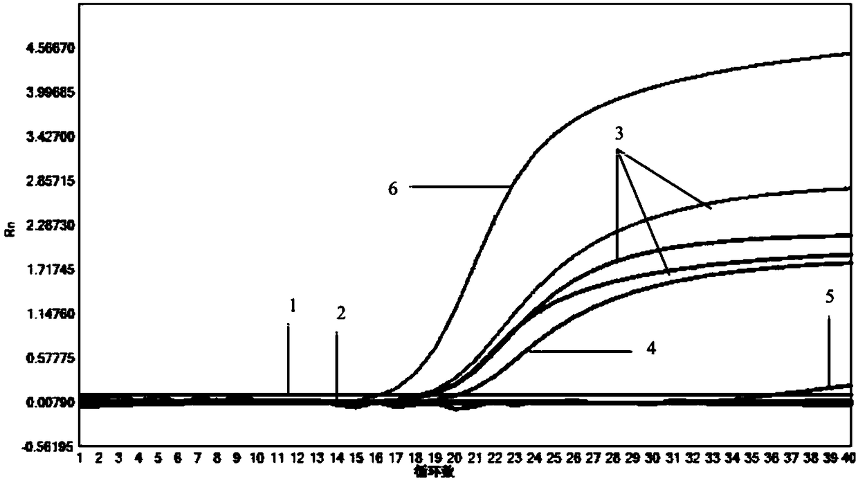 Kit for detecting various pathogens and use method thereof