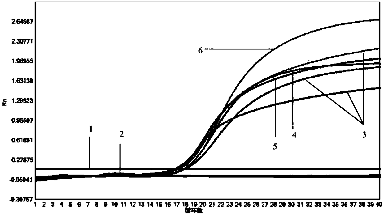 Kit for detecting various pathogens and use method thereof