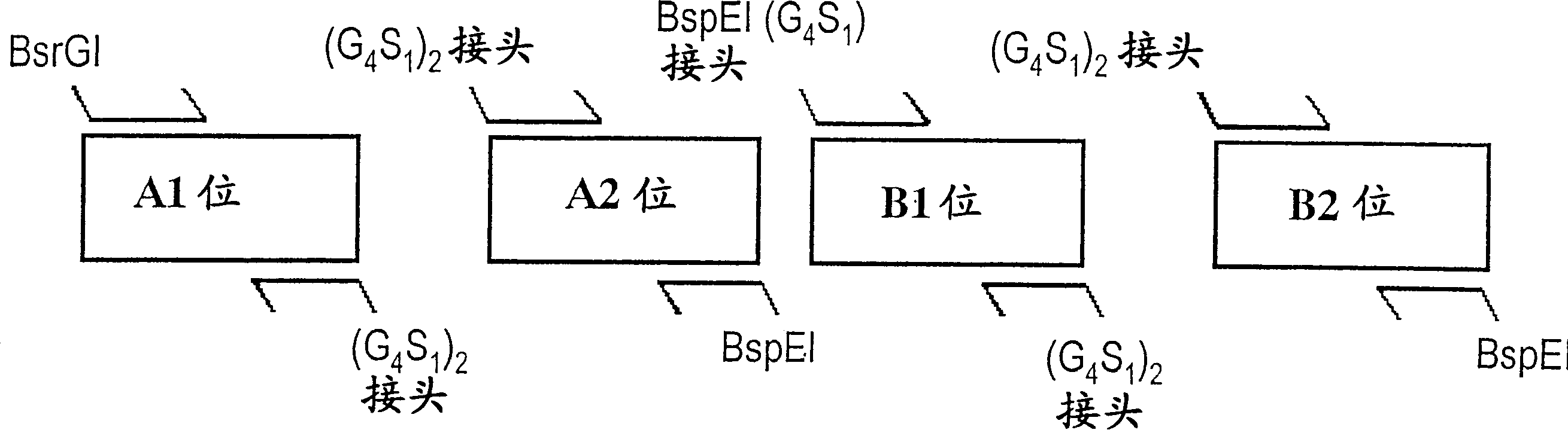 Pharmaceutical compositions comprising bispecific anti-cd3, anti-cd19 antibody constructs for the treatment of b-cell related disorders