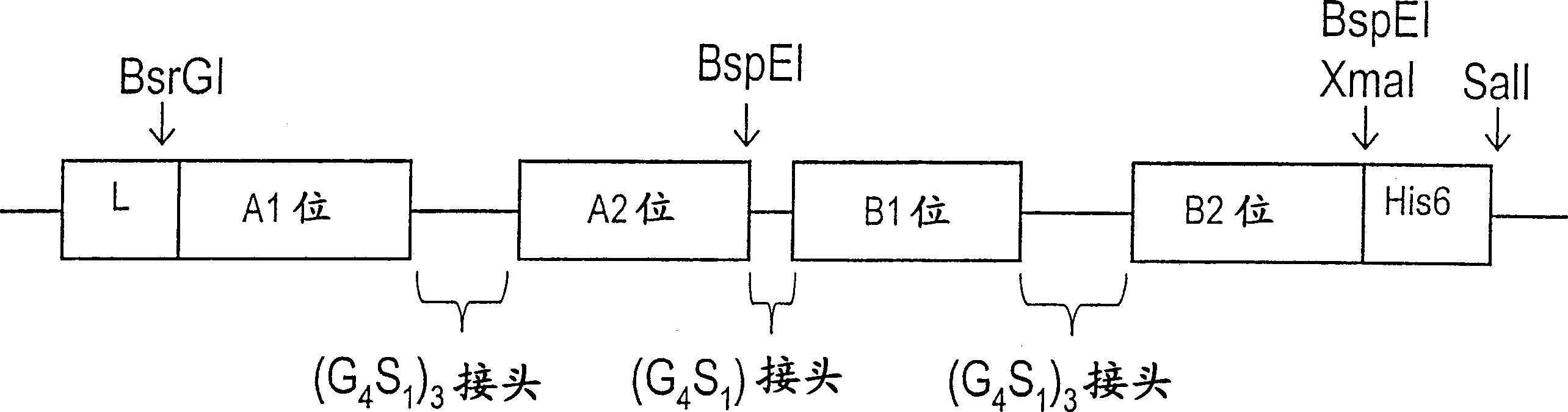 Pharmaceutical compositions comprising bispecific anti-cd3, anti-cd19 antibody constructs for the treatment of b-cell related disorders