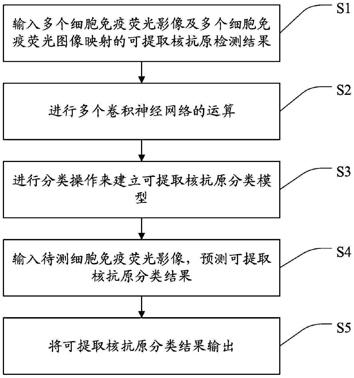 Classification system and classification method of autoantibody immunofluorescence image