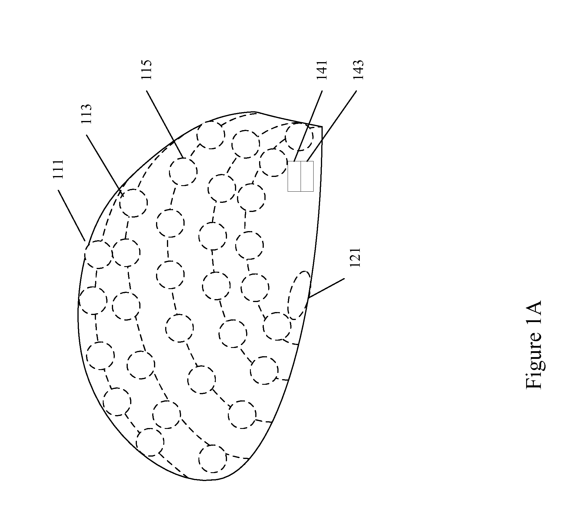 Dry electrodes for electroencephalography