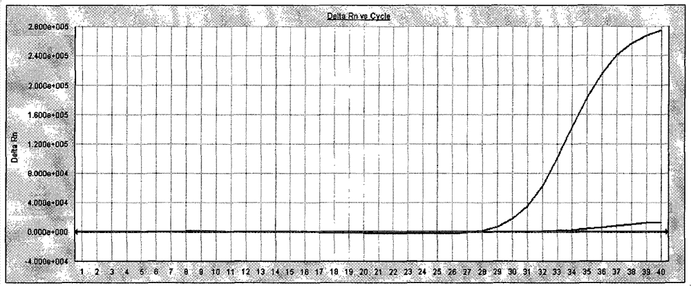 Detection kit for acute hemorrhagic conjunctivitis and detection method thereof