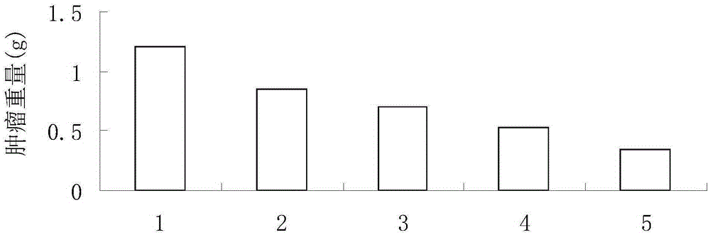 Derivative of anti-tumor protein endostatin and application