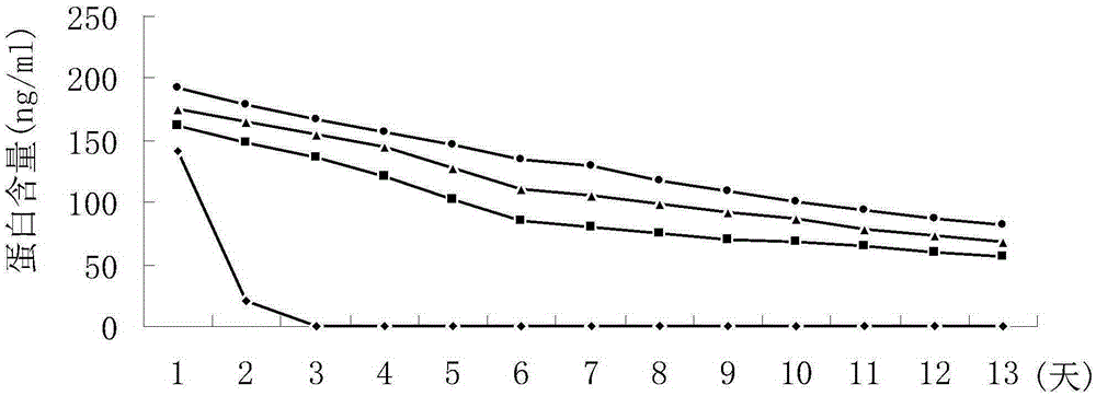 Derivative of anti-tumor protein endostatin and application