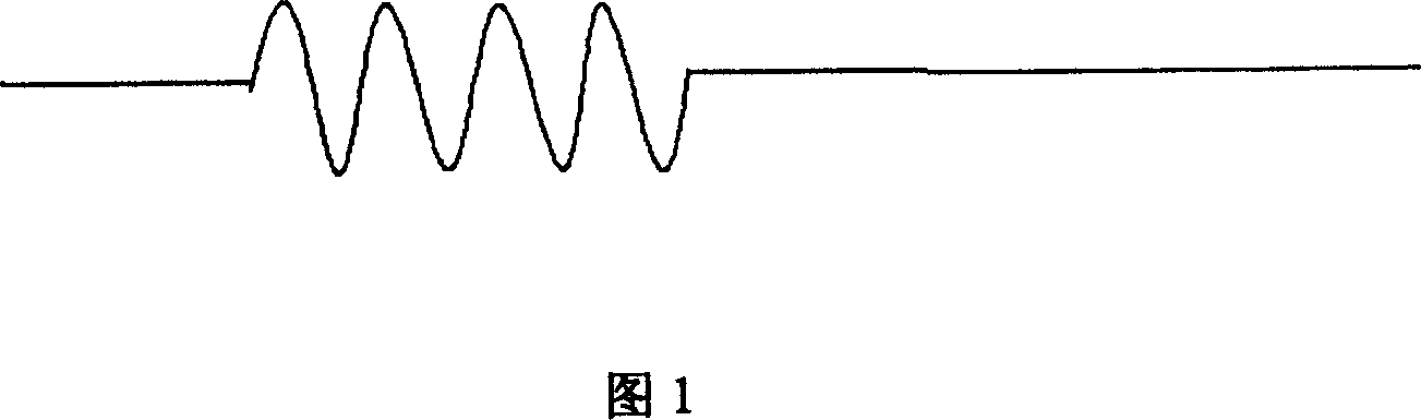 Digitized stratum echo signal simulator