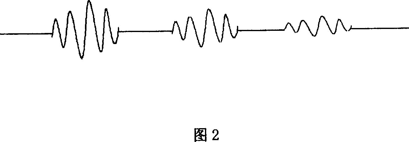 Digitized stratum echo signal simulator