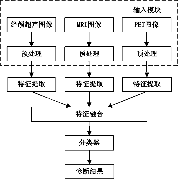 Multimodal-medical-image-based auxiliary diagnosis system and method for Parkinson's disease