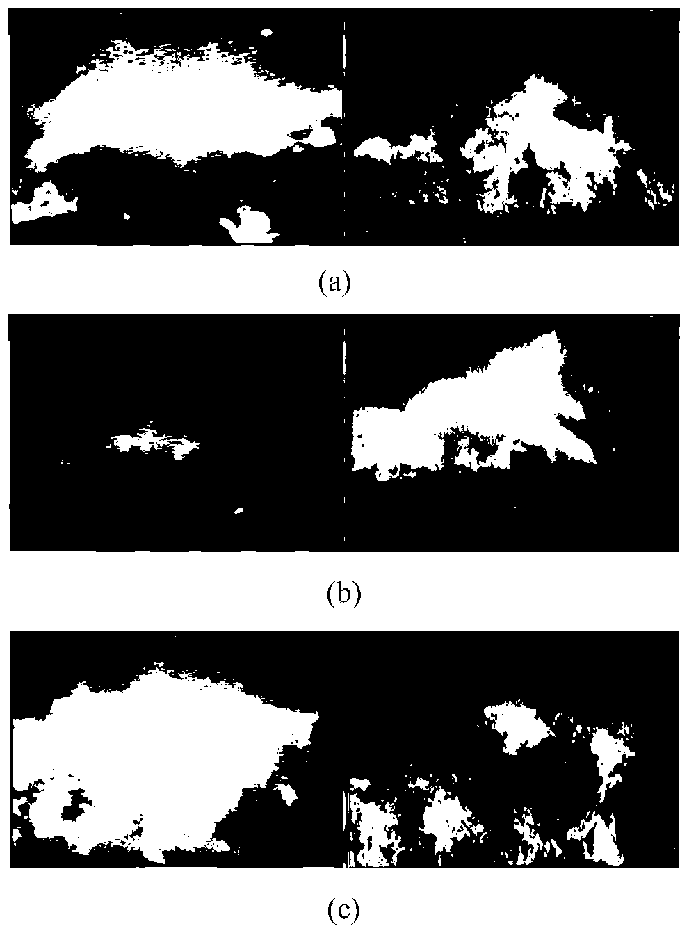 Solid waste incineration condition recognition method based on multi-scale color moment characteristics and random forest