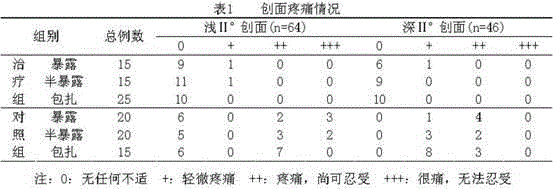 Compound Retapamulin medicinal membrane agent and preparation method thereof