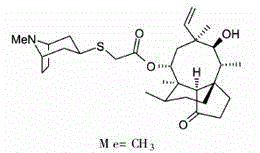 Compound Retapamulin medicinal membrane agent and preparation method thereof