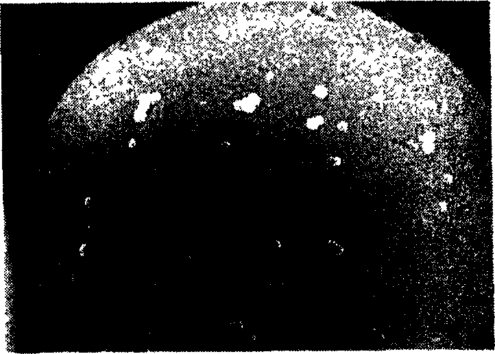 Phase change energy storage microcapsule of composite shell and its making method