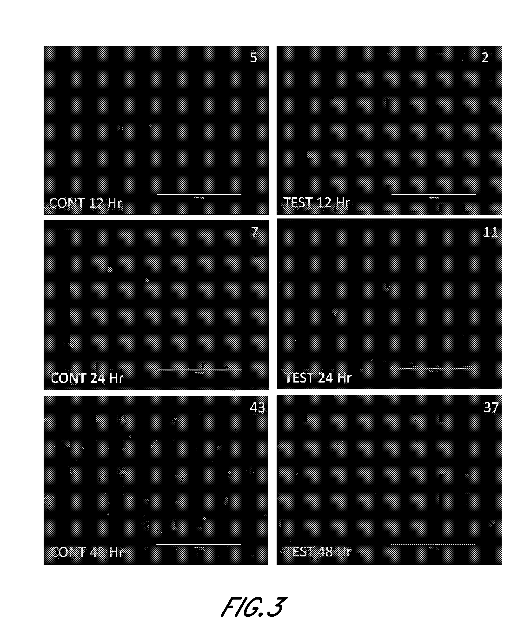 Compositions and methods for treating and preventing tissue injury and disease