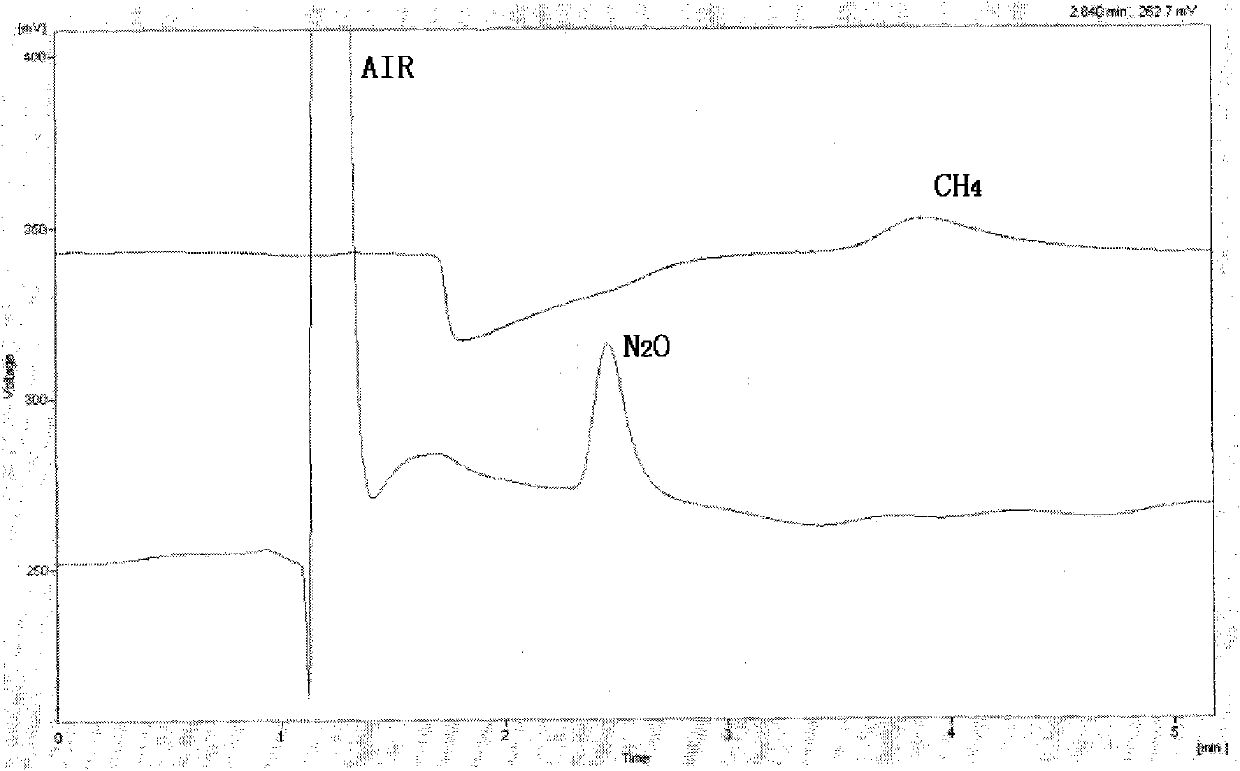 Gas chromatography for analyzing methane and nitrous oxide in air by one sample injection