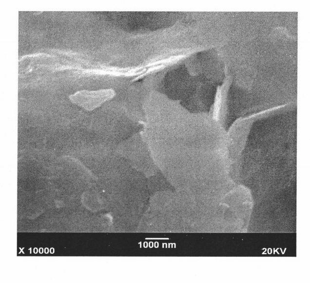 Method for synthesizing novel Ca-Bi-O visible light catalyst by adopting soft chemistry-hydrothermal technology