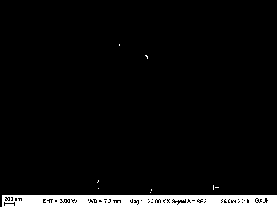 Preparation method of porous g-C3N4 with high specific surface area