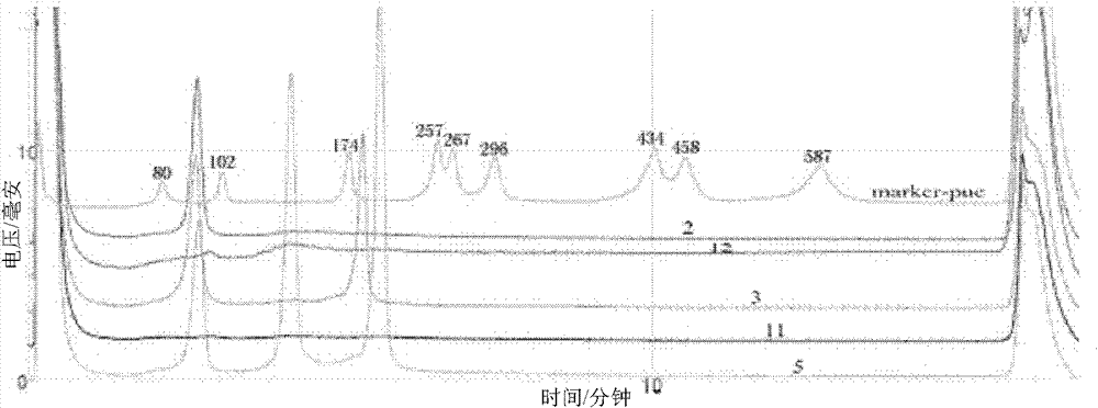 Multiplex PCR-DHPLC (polymerase chain reaction-denaturing high performance liquid chromatography) detection primer and detection method for genetically modified cotton